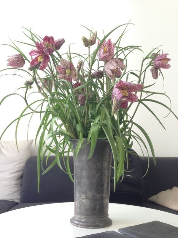 Kievitsbloemen in een stenen vaas