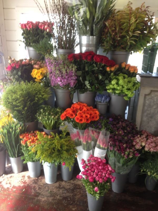 Emmers met verse bloemen en planten in de winkel
