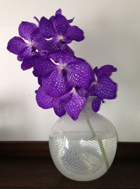 Paarse vanda-orchidee in een glazen vaas