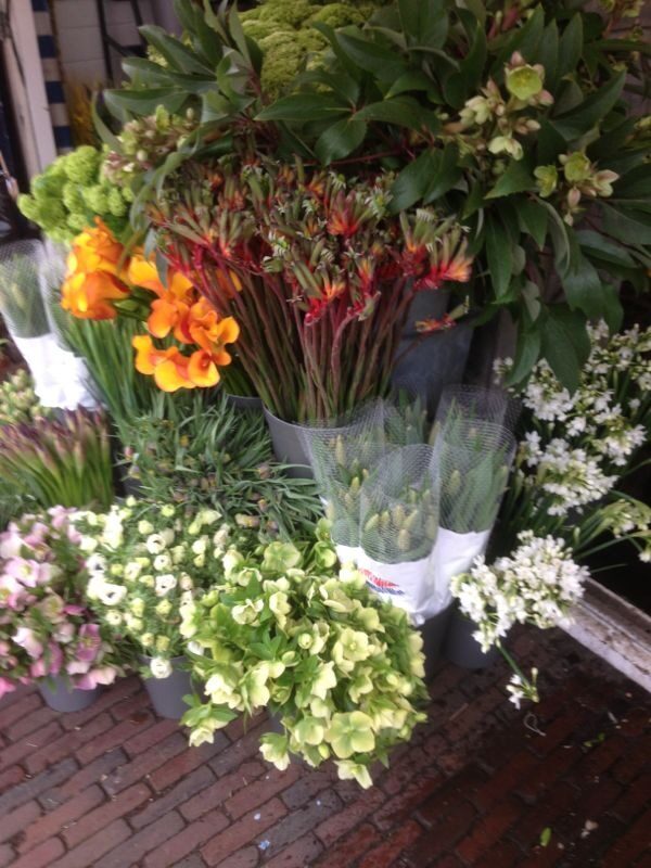 Planten en bloemen buiten voor de kiosk